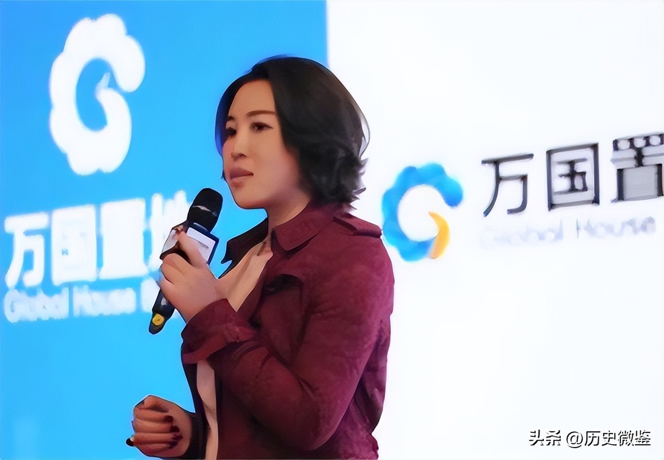 女总裁被诈骗5亿,中国美女总裁跨国诈骗