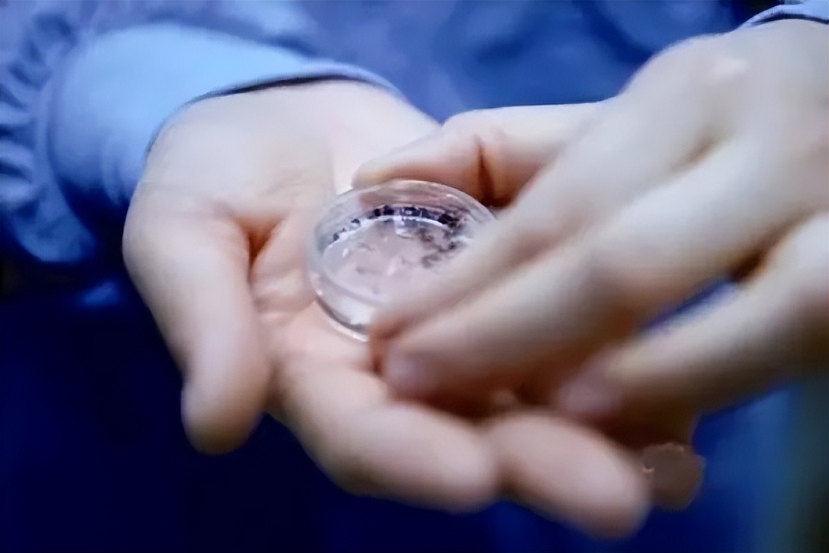 单身女性冻卵的法律规制与治理对策