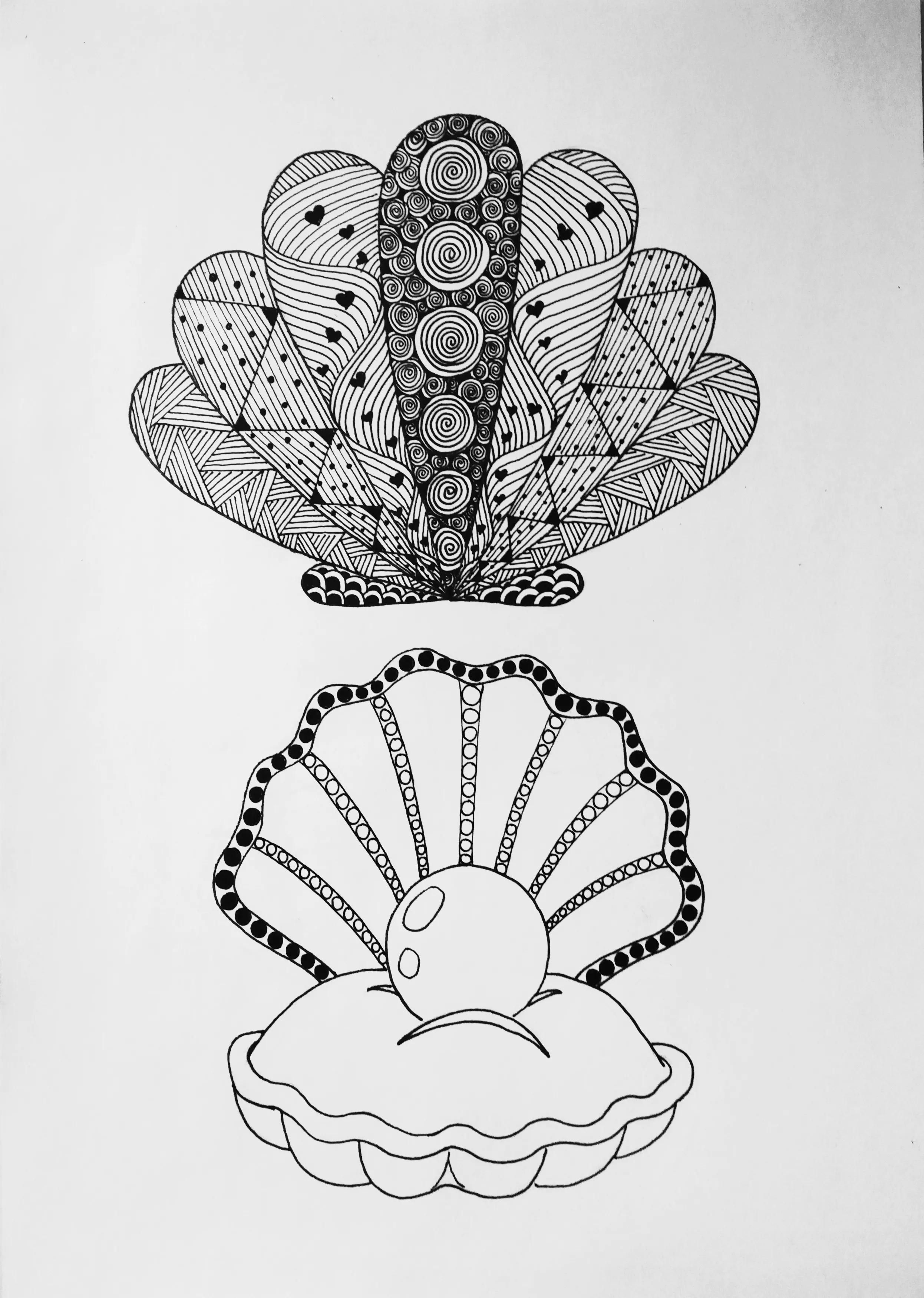 在扇贝上怎么画简单又漂亮,儿童线描画扇贝