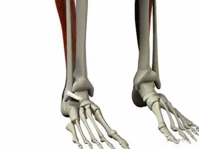 为什么现在的鞋越来越磨脚,原来合适的鞋穿久了也会磨脚