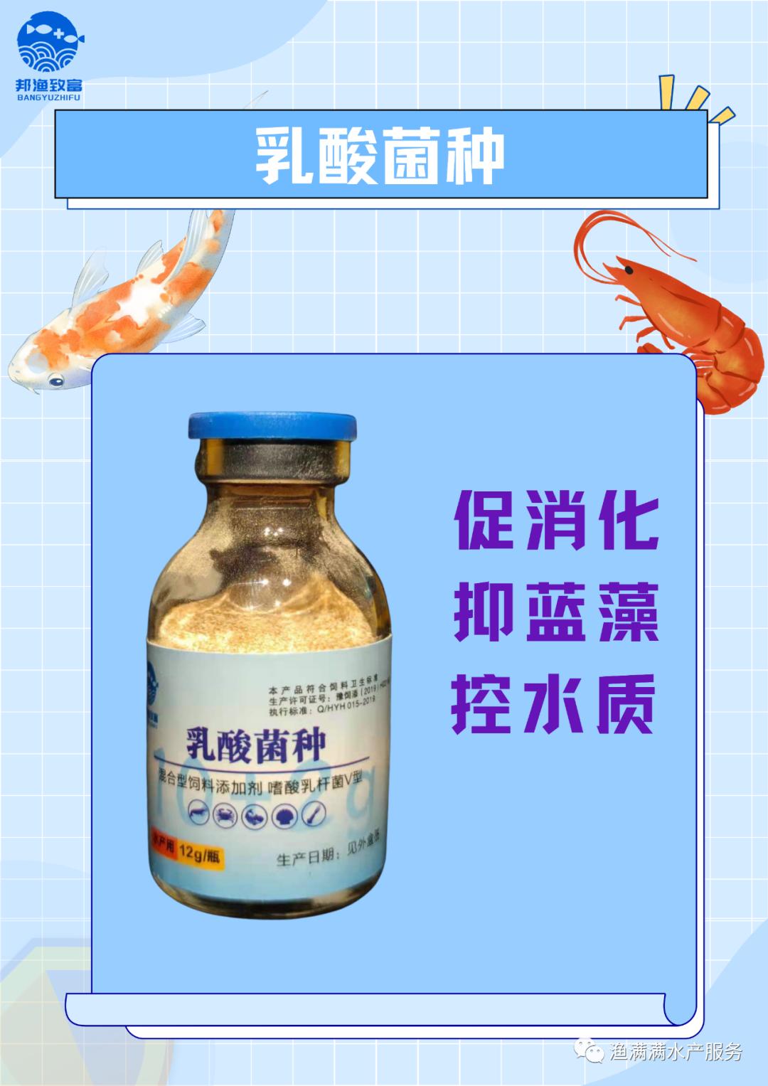 南美白对虾养殖前需要注意什么,南美白对虾养殖技术全过程求回答