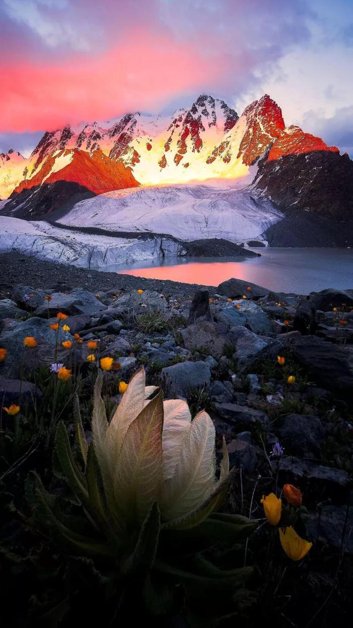 最惊艳的自然风景手机壁纸超清,风景壁纸动态壁纸高清全屏90帧