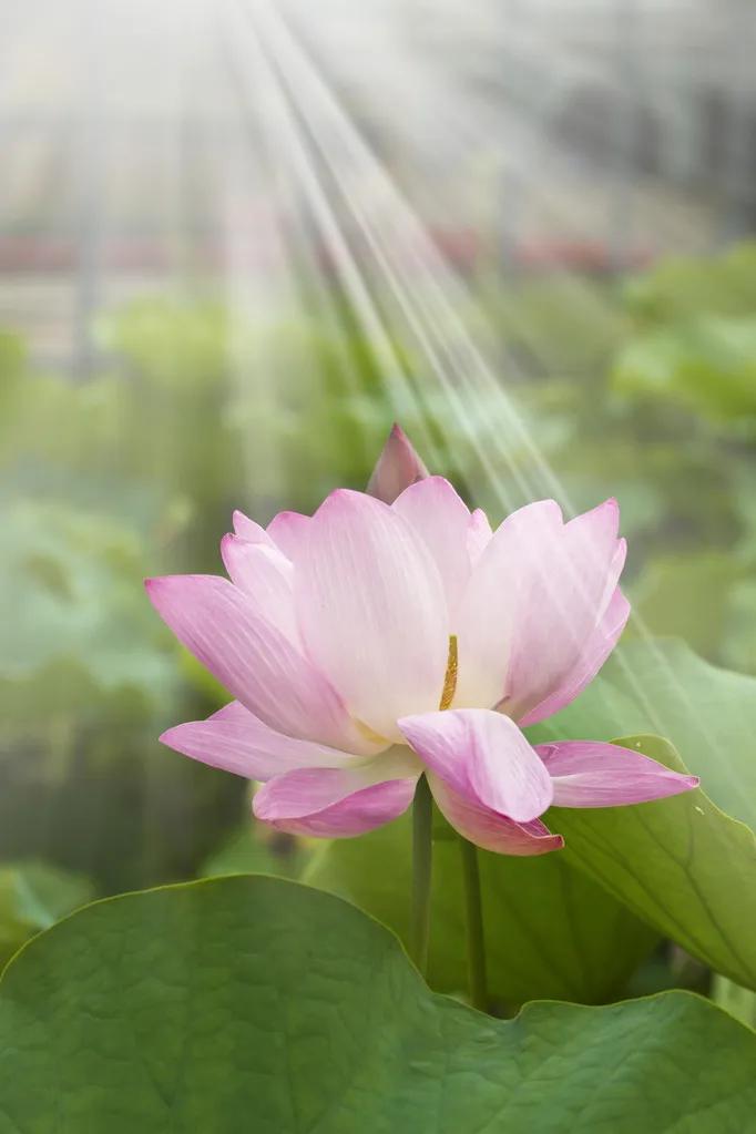 春树的人生格言书籍,人生书籍里的经典语录大全