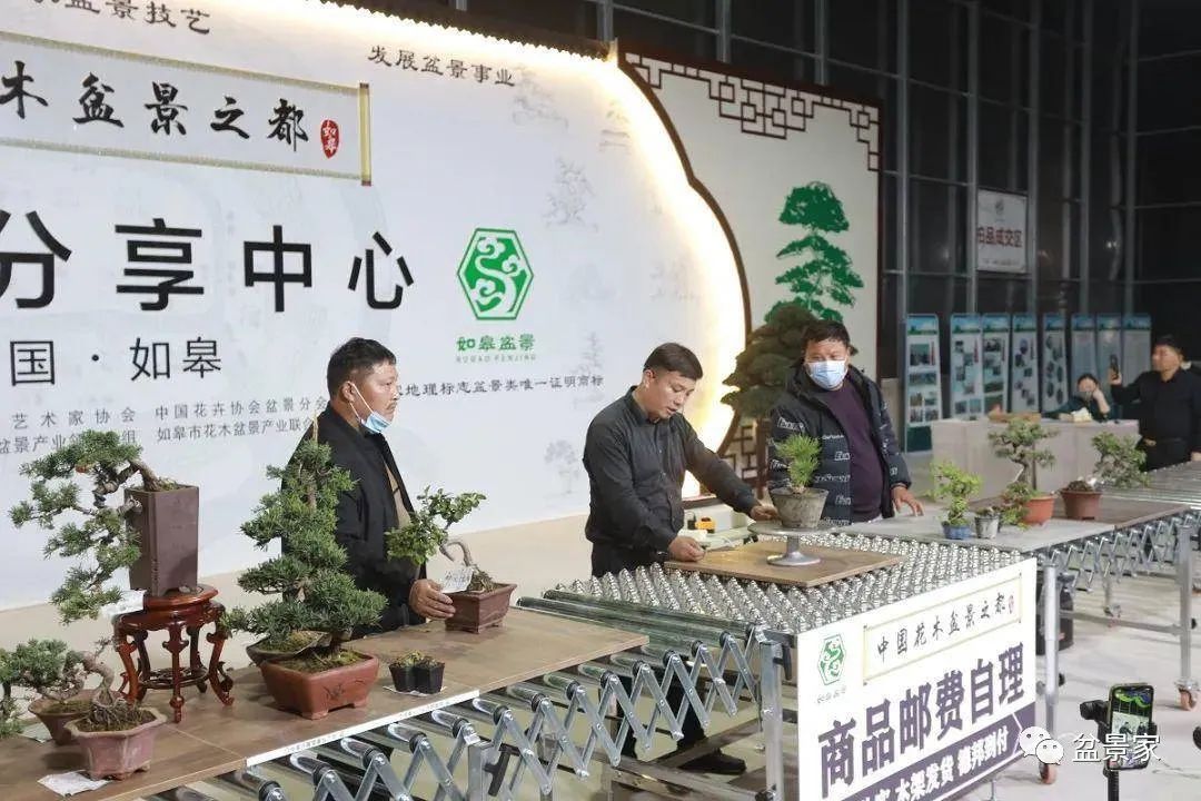 怎么入行盆景生意,花卉盆景生意