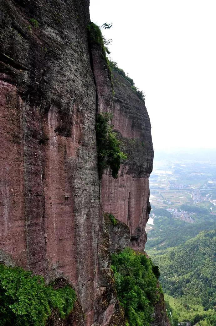 碧峰峡自然遗产大熊猫栖息地,世界自然遗产中国大熊猫栖息地