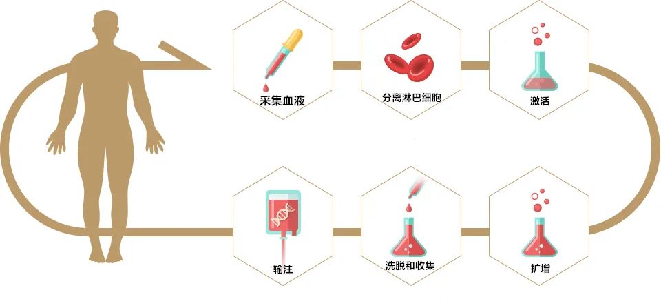 car-t细胞疗法可以最终治愈癌症吗,car-t细胞疗法可以彻底治愈癌症吗