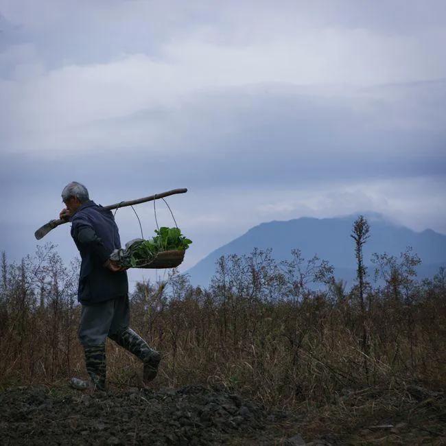 多想拉住父母的手,爸爸我多想再牵你的手作文
