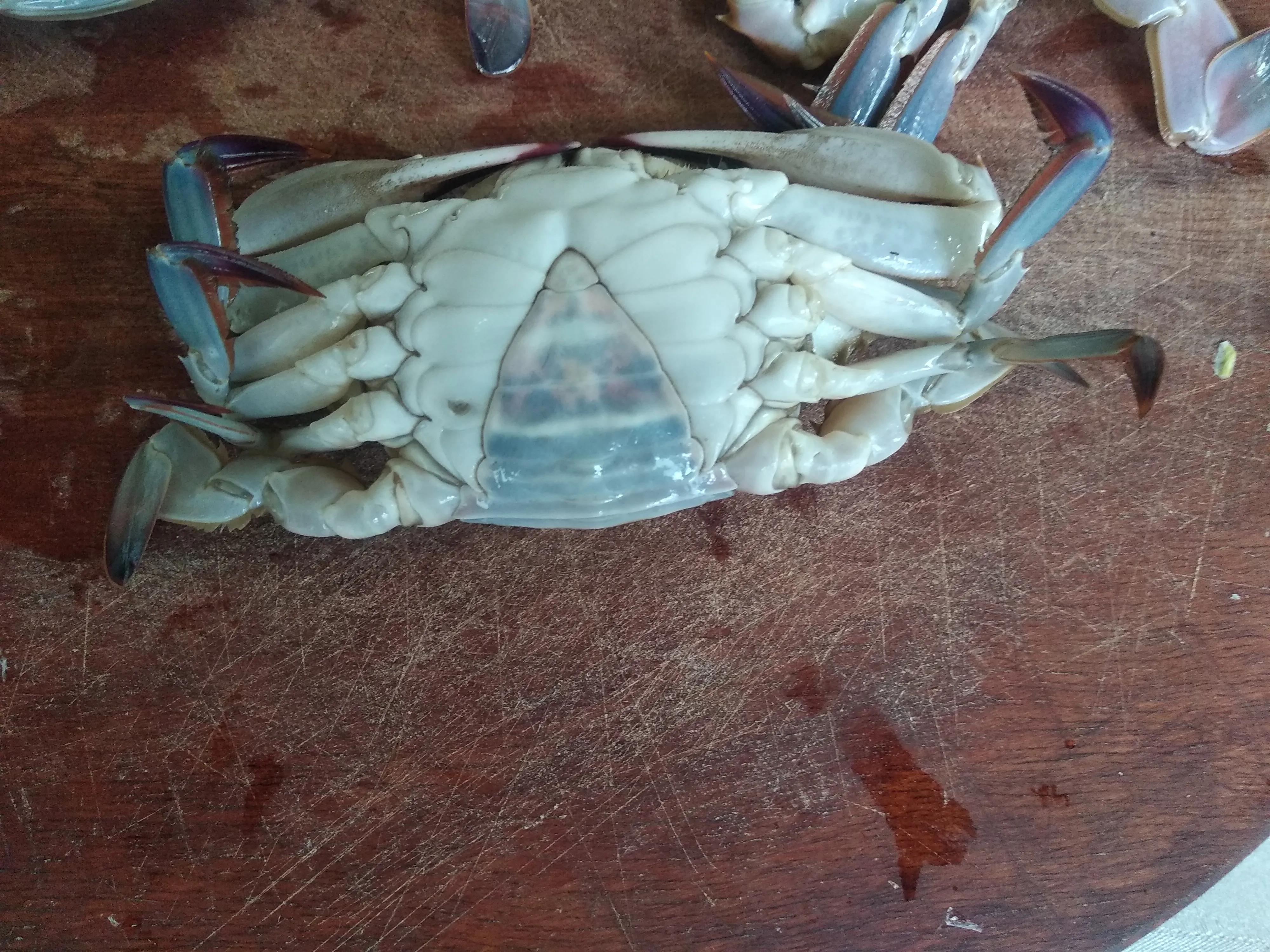 网上买海鲜好还是线上好,网上卖海鲜好不好