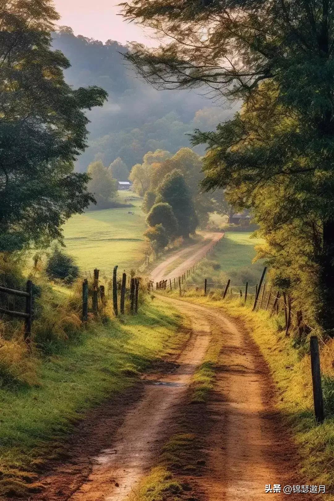 乡村田园风光图片,田园风光风景图片