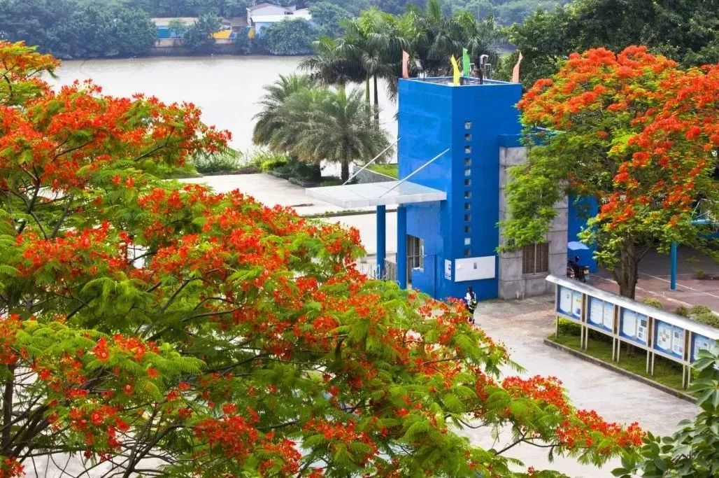 开学十六中,十六中提前批喜报