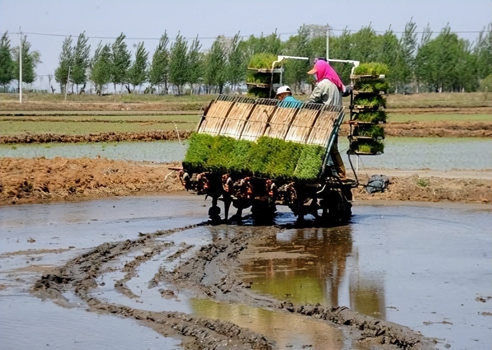 生态农业发展的现状及前景,生态农业发展的现状及前景例子