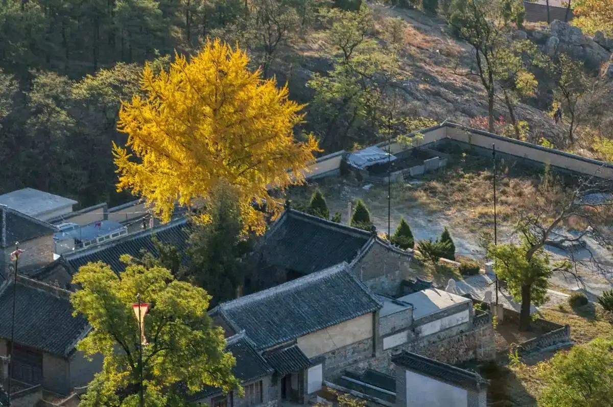 丹东东港旅游攻略自由行,丹东避暑游玩的地方推荐