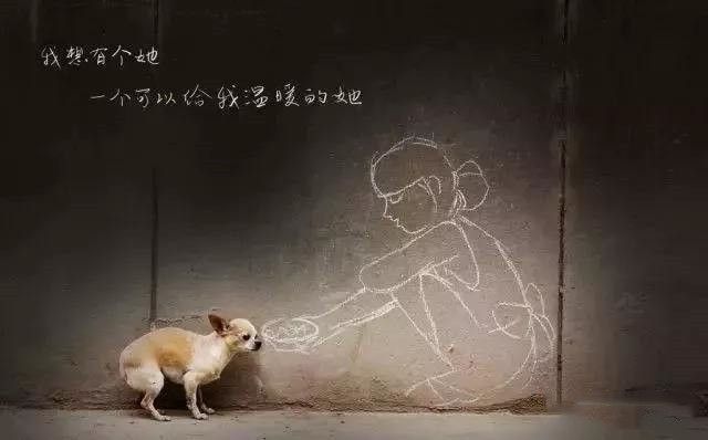 以领养代替购买,领养代替购买的意义