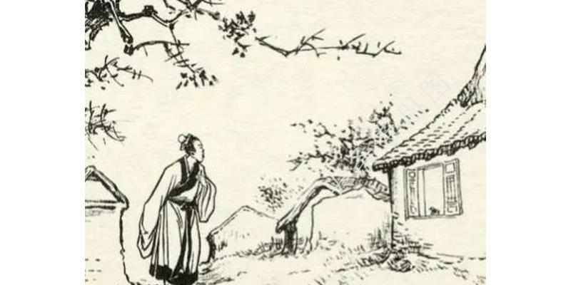 聊斋关于蛇的故事,聊斋青蛇妖