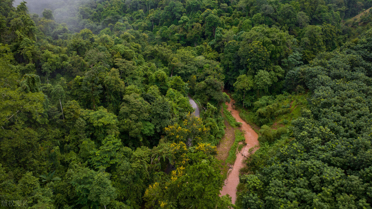 西双版纳名胜古迹有哪些,西双版纳有哪些名胜古迹