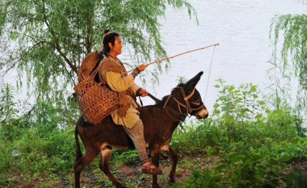 不系舟作者作品全集,不系舟抖音账号