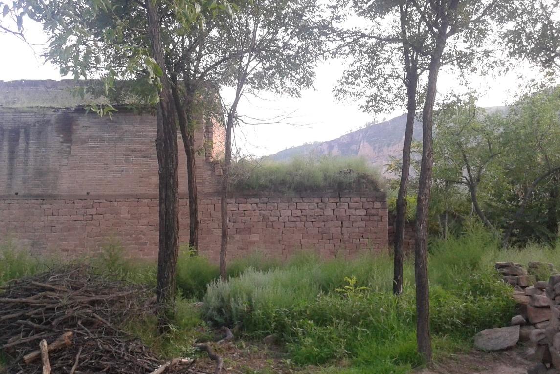 河南白头村真实历史,河南村庄离奇出现白胡子老汉