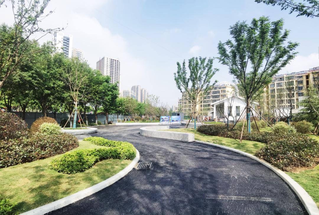 太美了值得去看的地方,临沂最美口袋公园