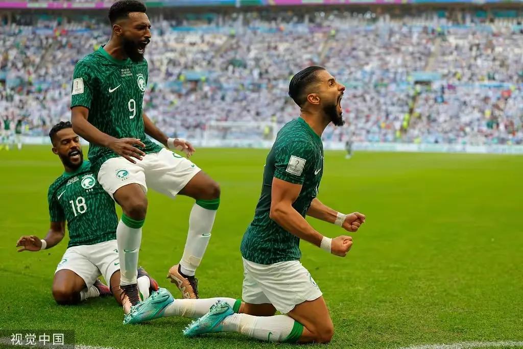 看世界杯观后感100字,看世界杯感想100字