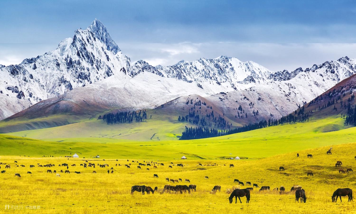 夏天来了一定要来一场草原之旅,这个夏天让我们玩转大草原