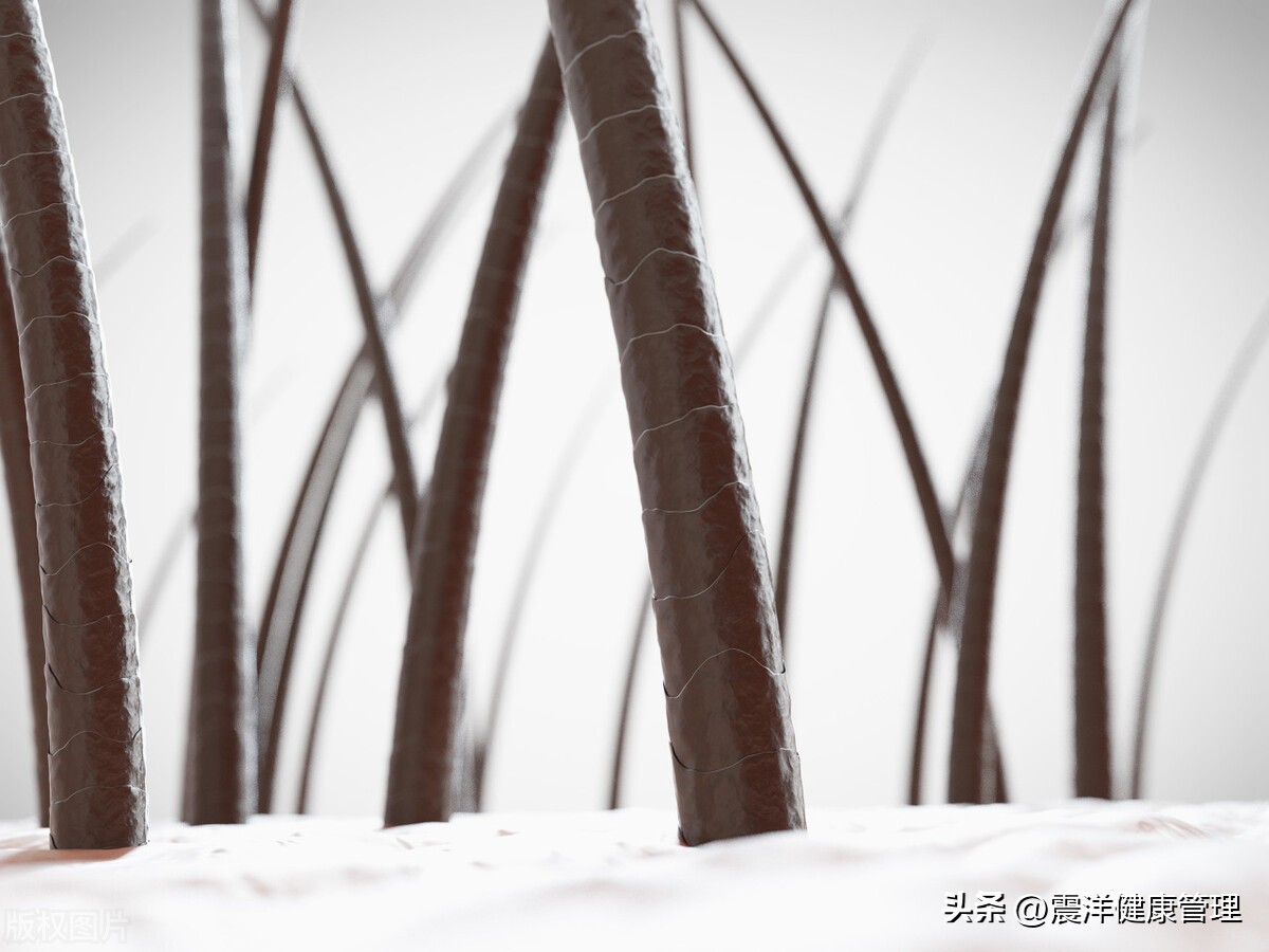 为什么有人“下面”没毛？女性*处私**毛发的4个作用，别羞于了解