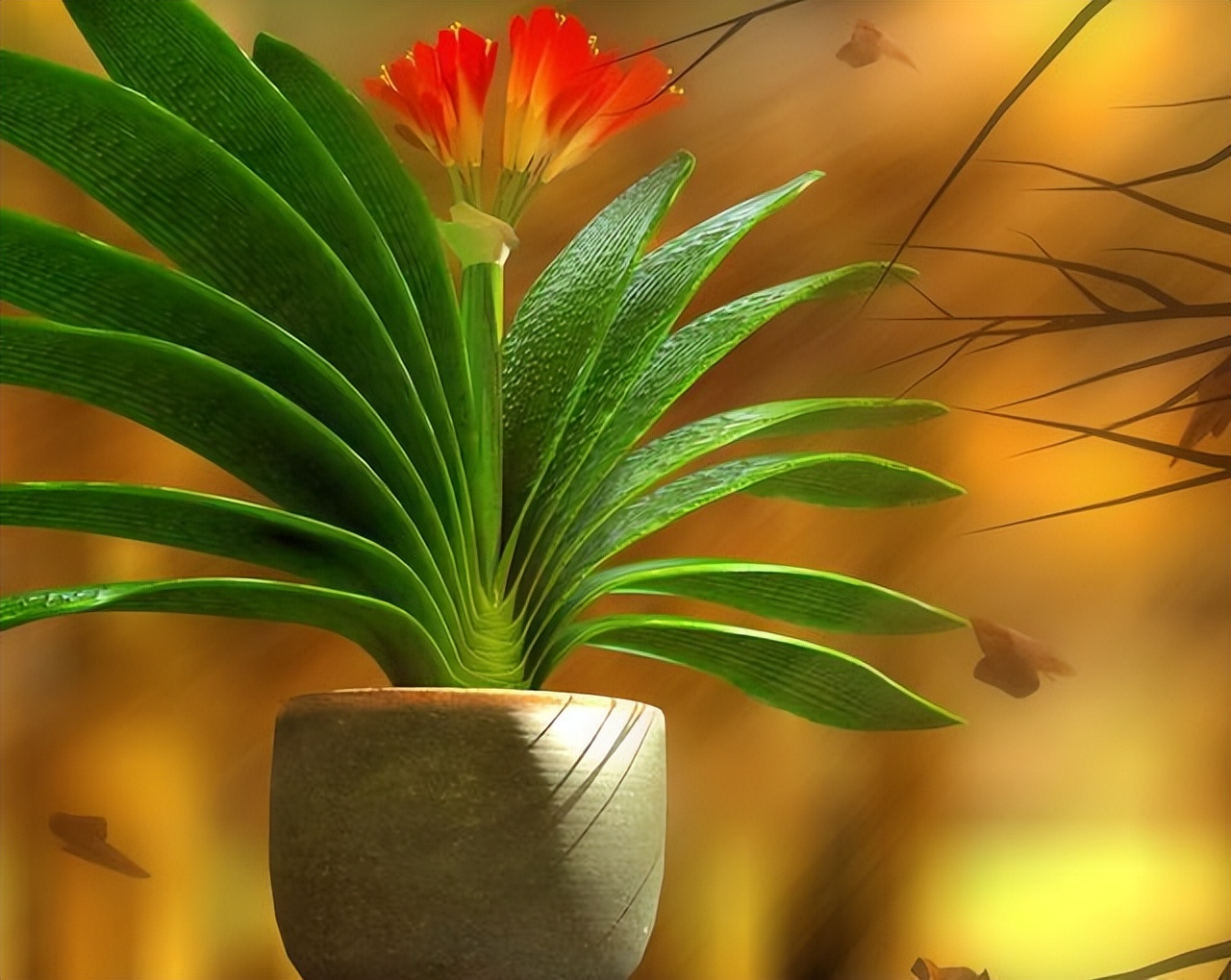 5种花浇不死浇水越多长得越旺,夏天种花早上还是晚上浇水好