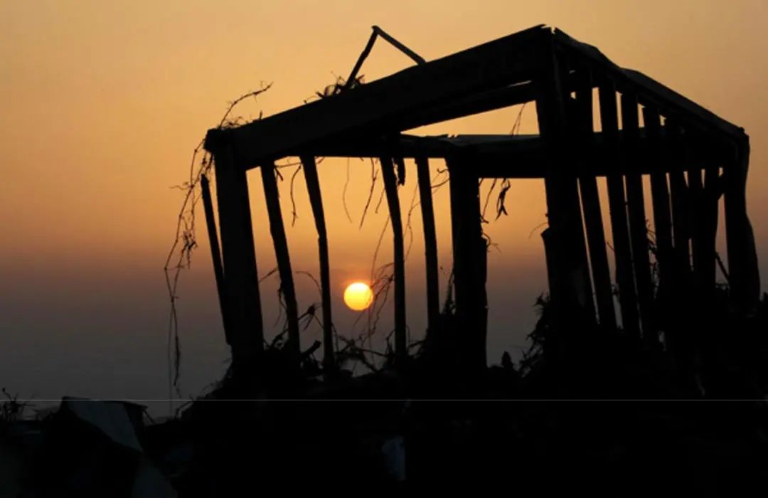 日本311大地震中文纪录片,日本3.11大地震真实影像