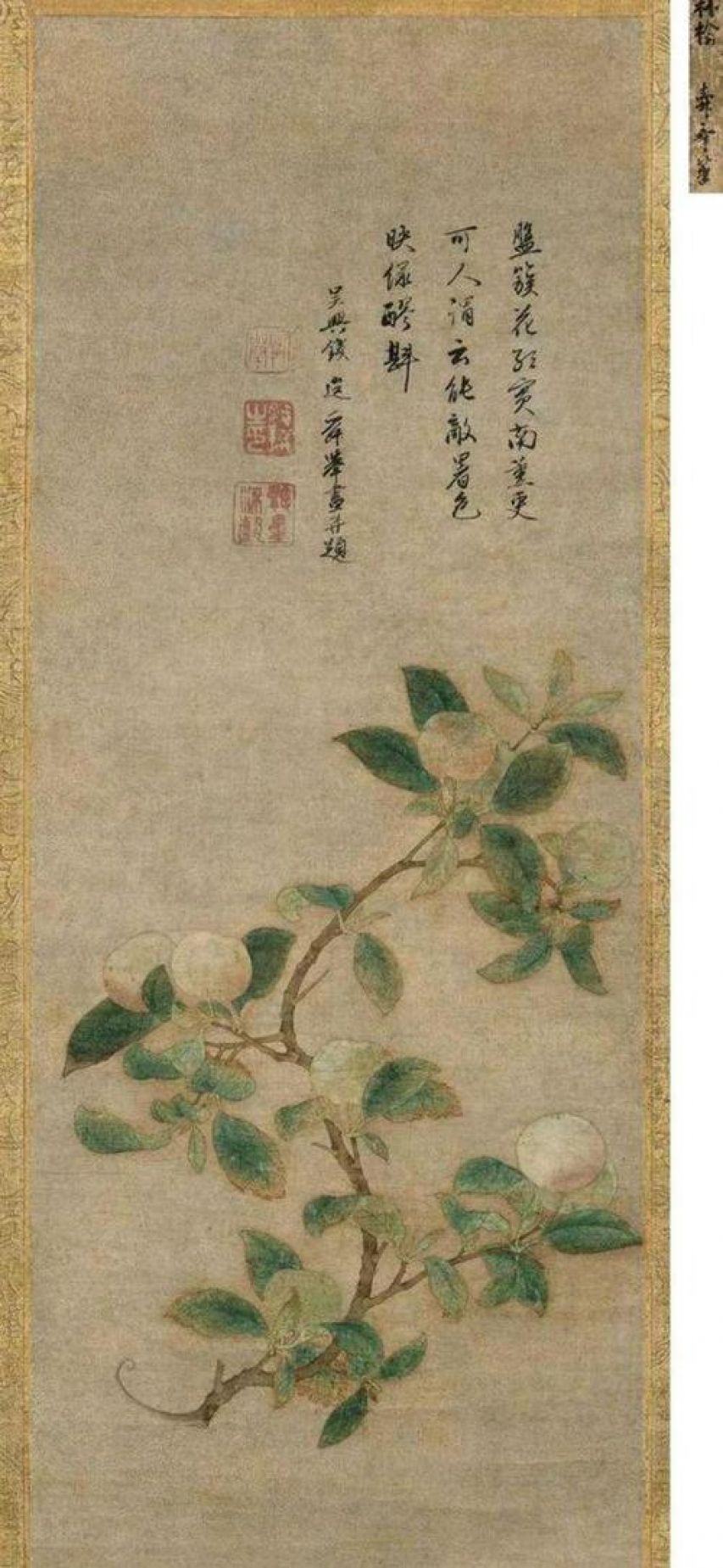 古代把苹果叫什么名字,苹果在古代的名字原来这么美