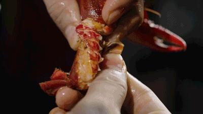 除了淄博还有哪里的烧烤值得打卡,最近火的除了淄博的烧烤还有什么