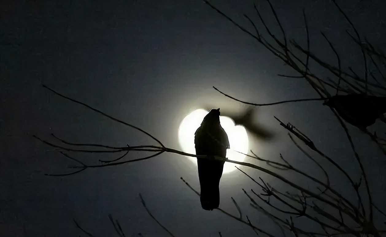 有生之年要查明：《本草纲目》中的识鬼术是什么情况