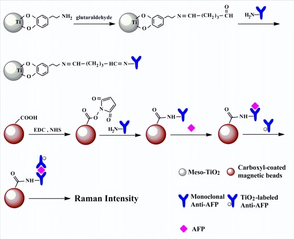 介孔二氧化钛光催化机理,基于噬菌体的纳米生物传感器