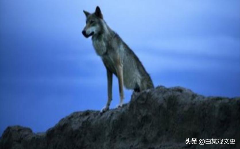 命硬,日军砍断了他的“大脖筋”,竟然拖着断脖子爬了十多里路