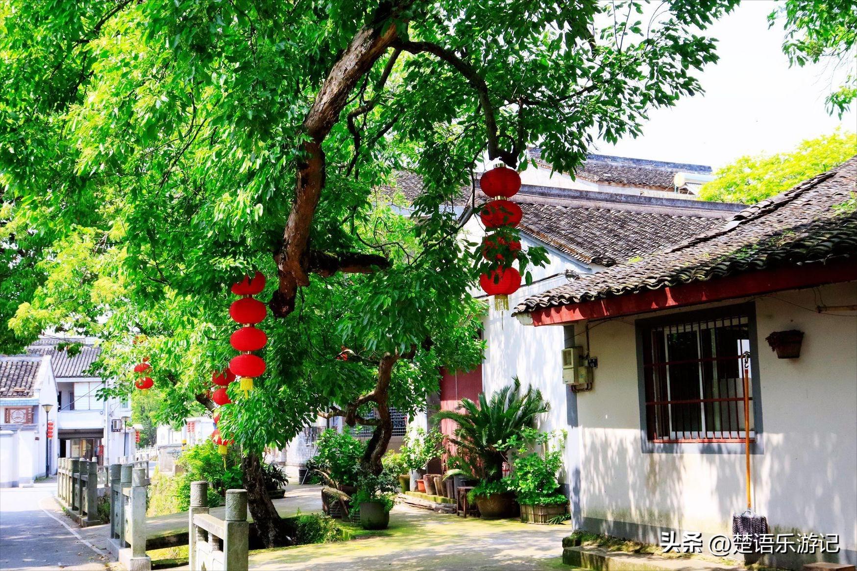 宁波太白山麓东吴镇，《大江大河2》的取景地，竟藏着几十处风景