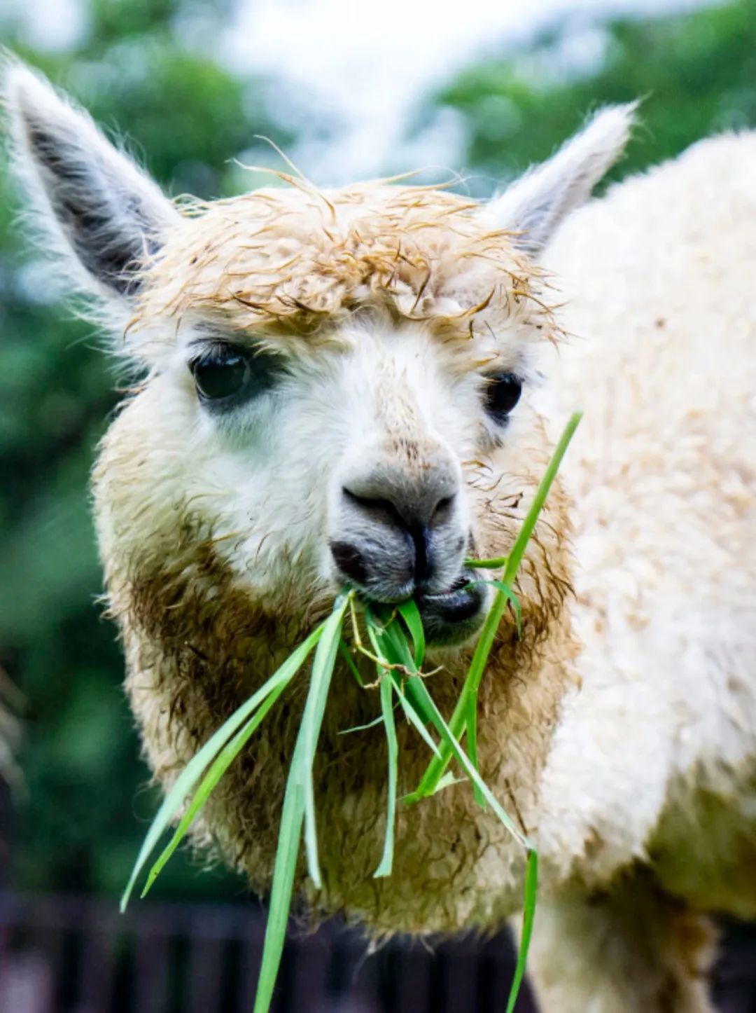 济南遛娃嗨玩这里享优惠,济南遛娃乐园周末