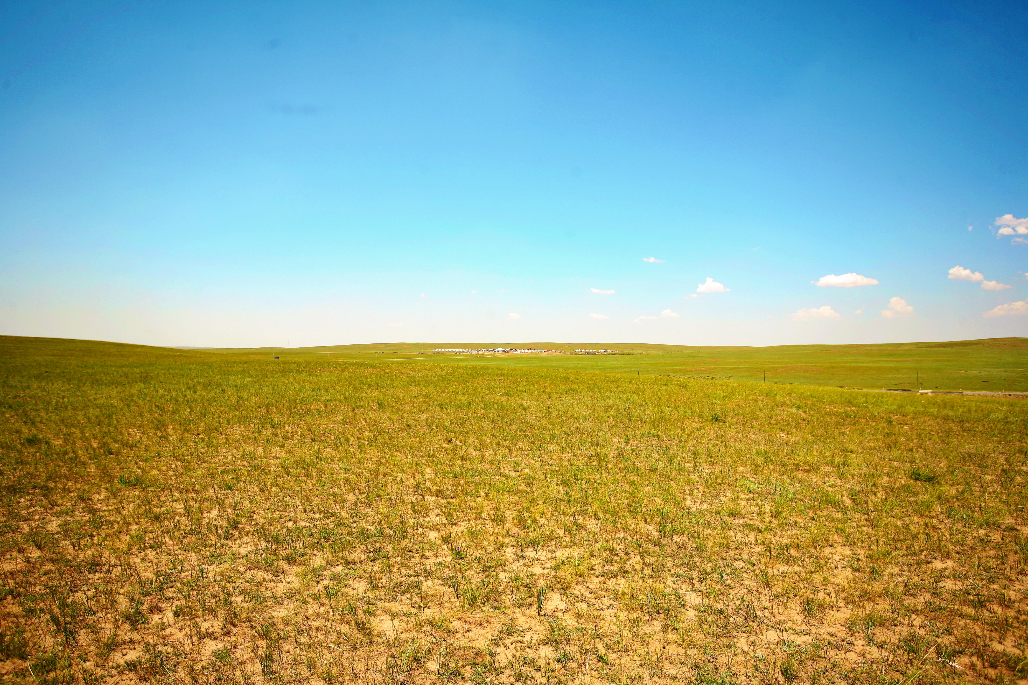 呼和浩特周边草原自驾游景点推荐,内蒙古呼和浩特旅游景点排名