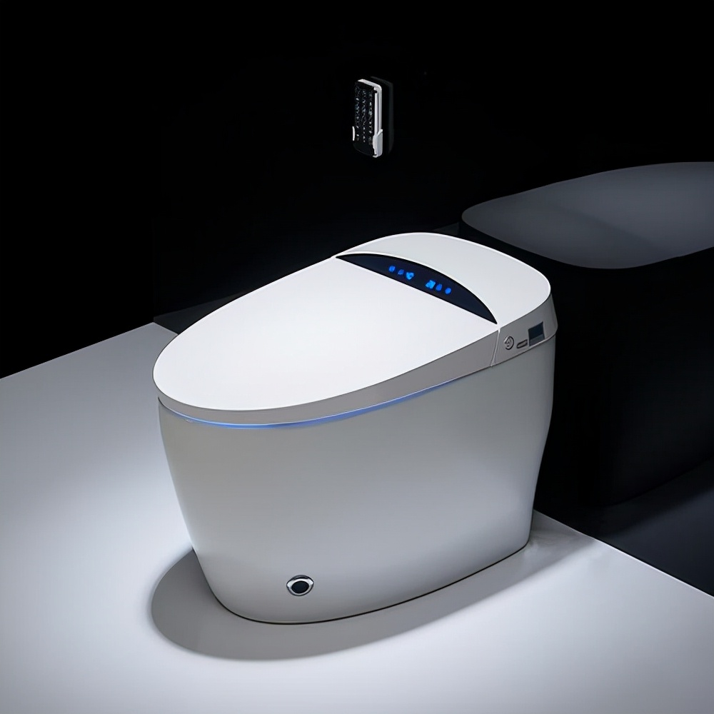 智能马桶真的有必要买么,智能马桶有没有必要买最好的