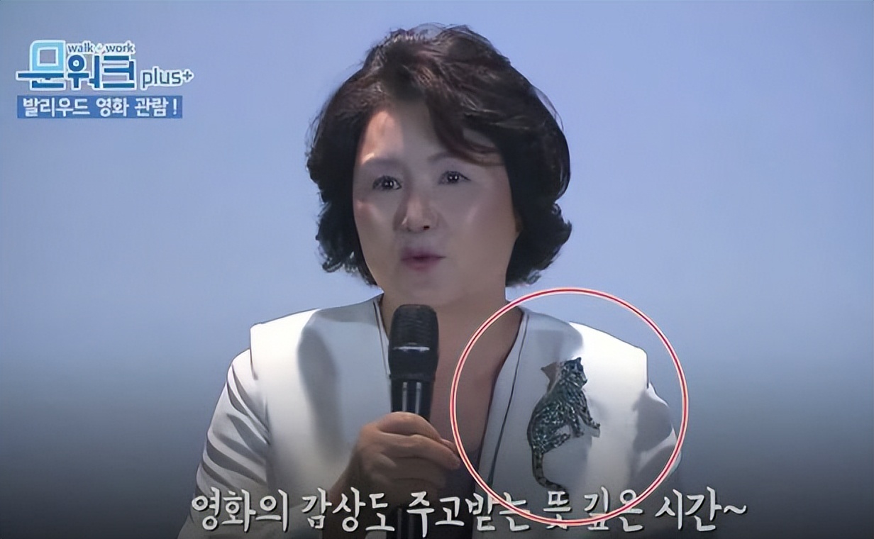 文在寅夫人奢侈品,韩国文在寅夫人42套大衣图片