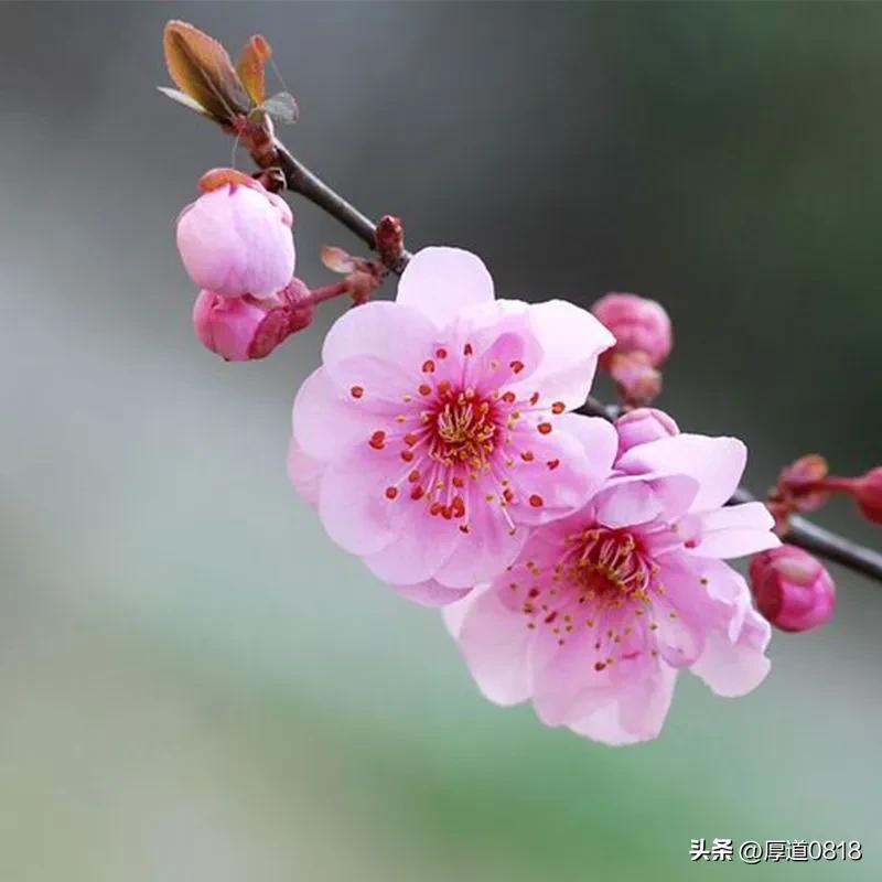 晨钓路亚鱼饵,晨钓冬季