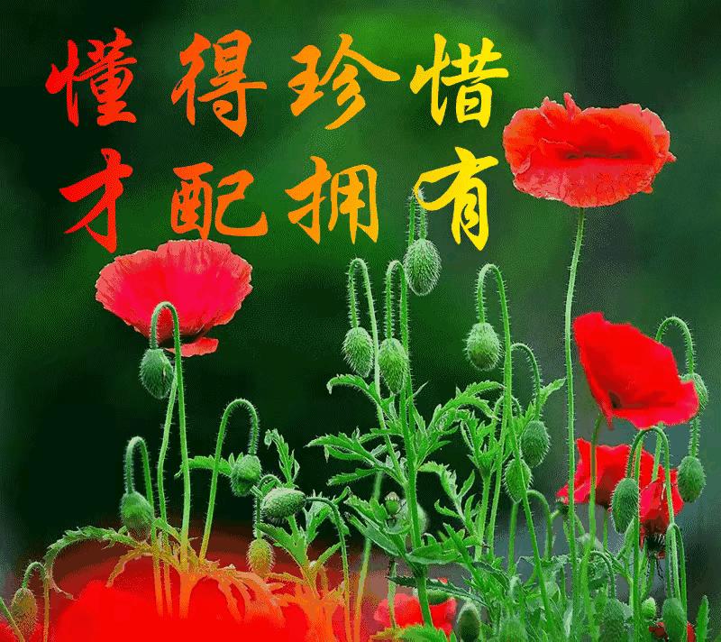 庚子日柱2023年癸卯年运势,癸卯年2023年哪个月出生最好