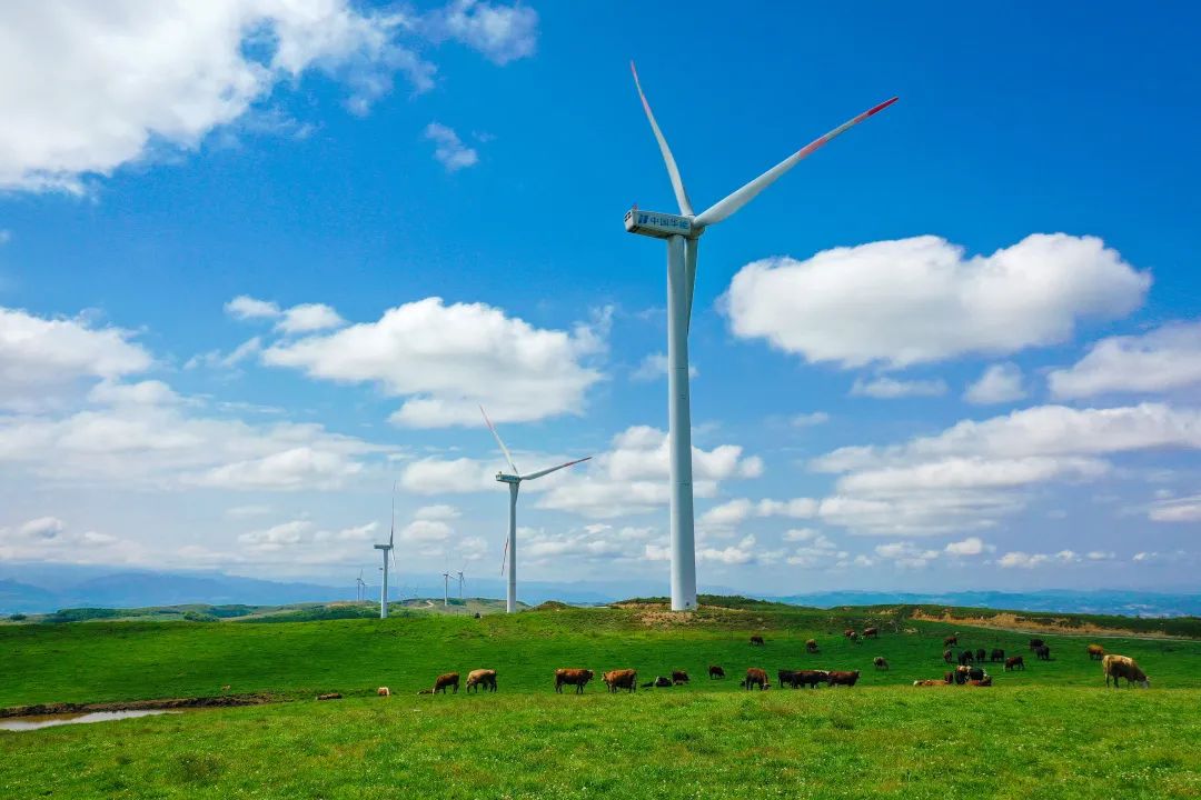 毕节市最新招商项目,毕节新一轮的招商引资项目