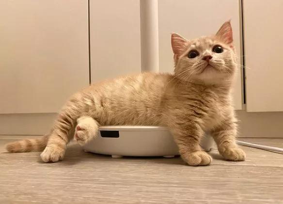 买了张彩票用尽所有的运气,买张彩票中奖了但彩票有破损