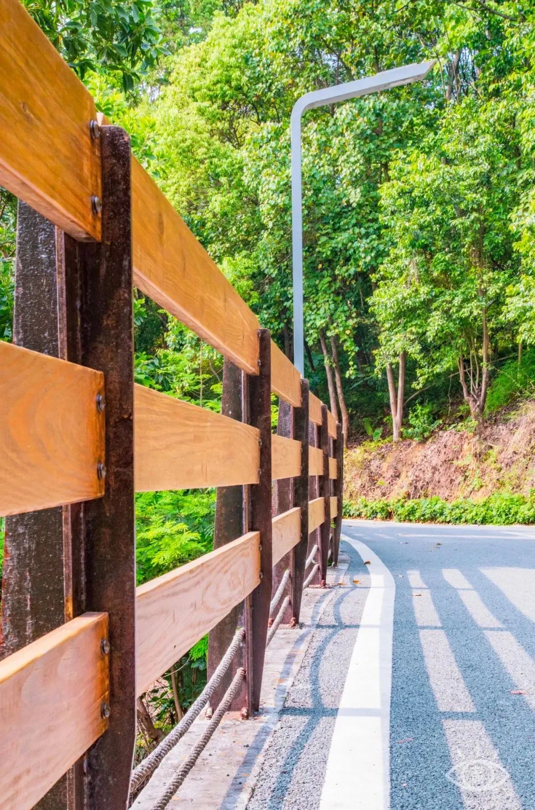 深圳10公里跑步路线,深圳跑步路线推荐塑胶跑道