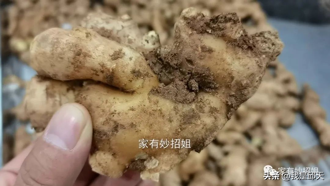 买生姜时你一般是哪种习惯,买生姜该怎么选