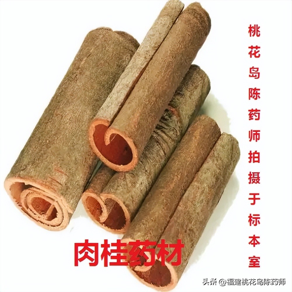 17味温里祛寒中药的性味与功效