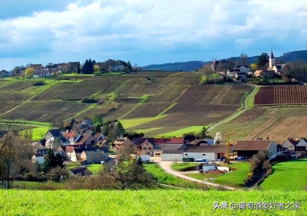 法国佳颂庄园红酒,法国十大红酒酒庄排名及价格