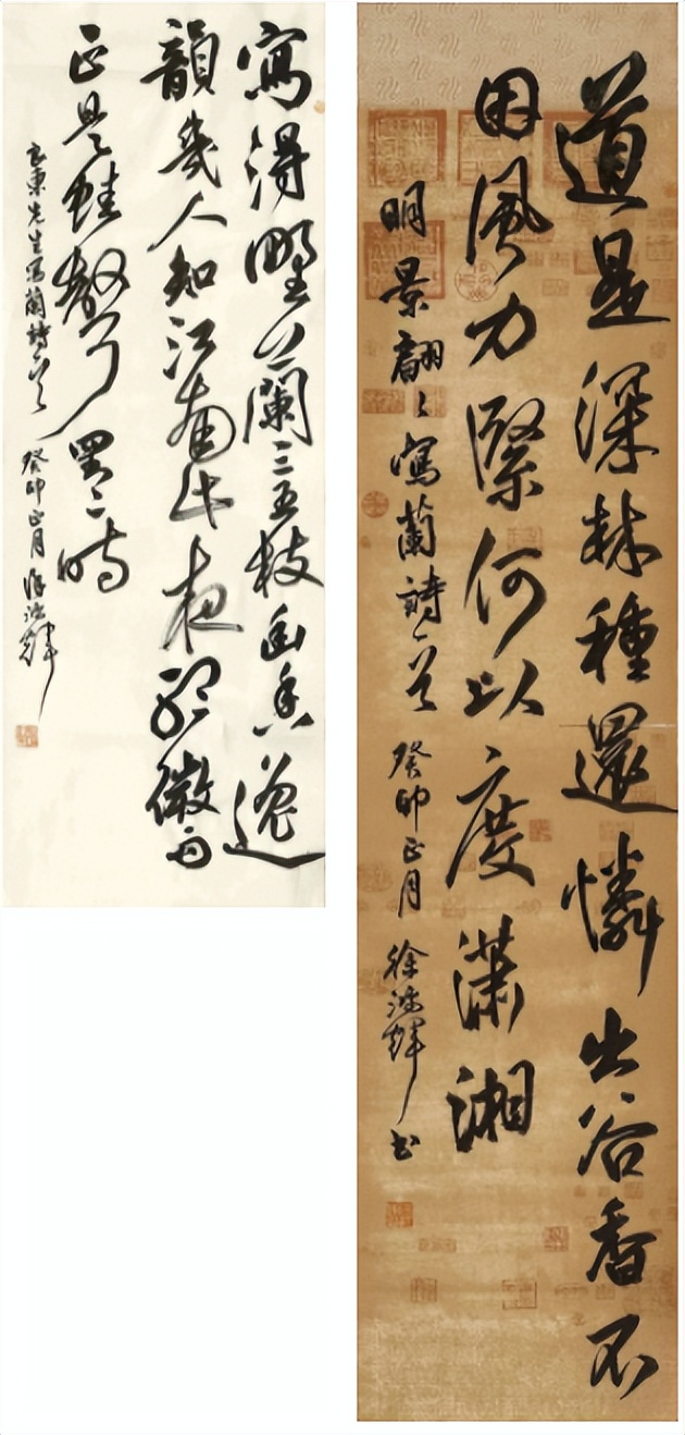 今年兰花展金奖,2020浙江兰花展