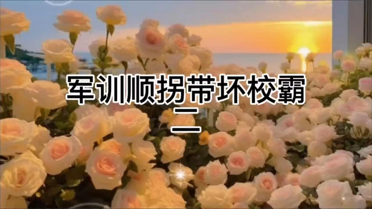 搞笑视频被带偏了,顺拐搞笑合集