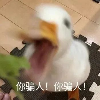 中国暴打日本人,中国鳗鱼咬人事件