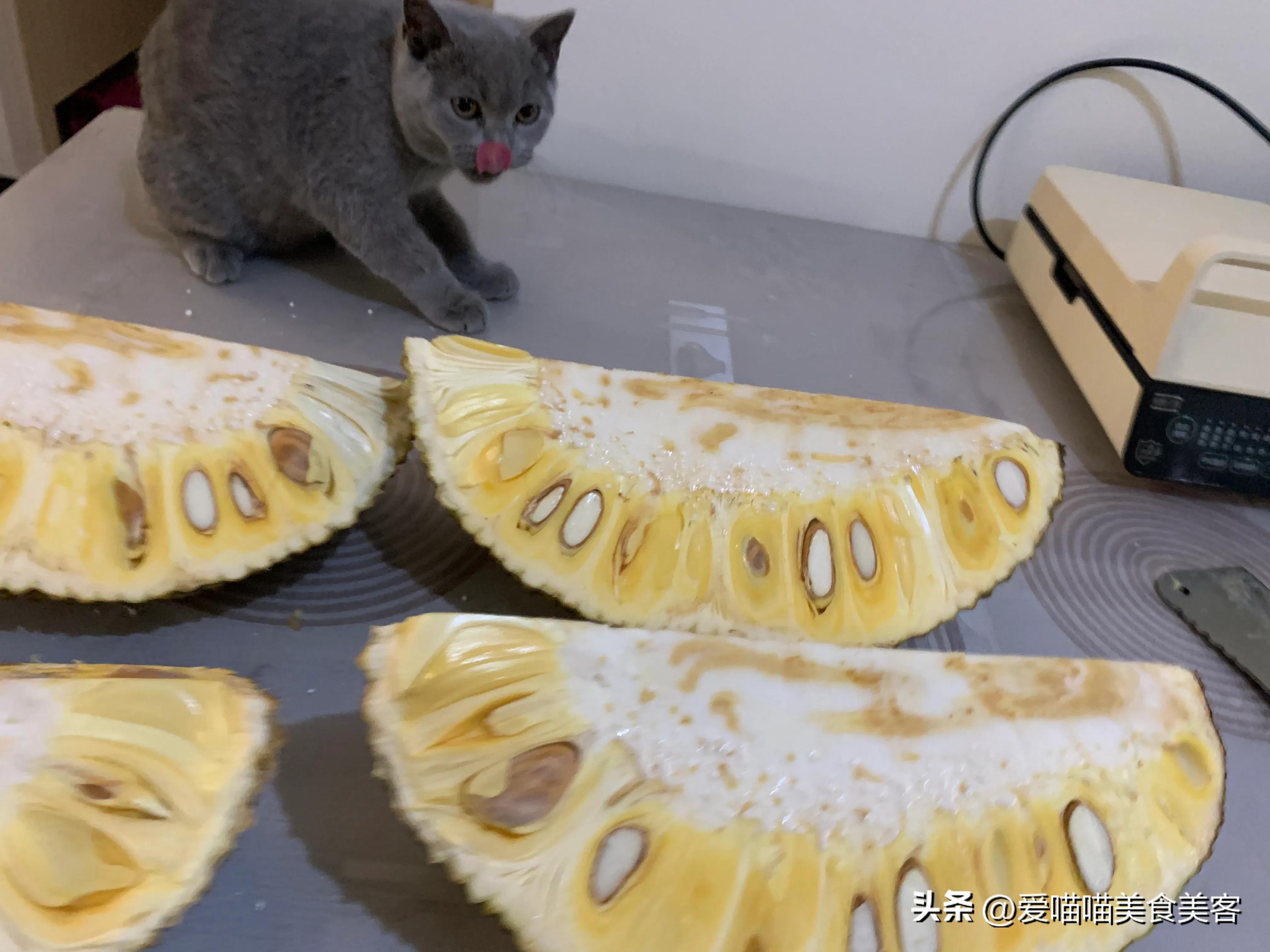怎么切大菠萝蜜快又简单,切菠萝蜜的小窍门