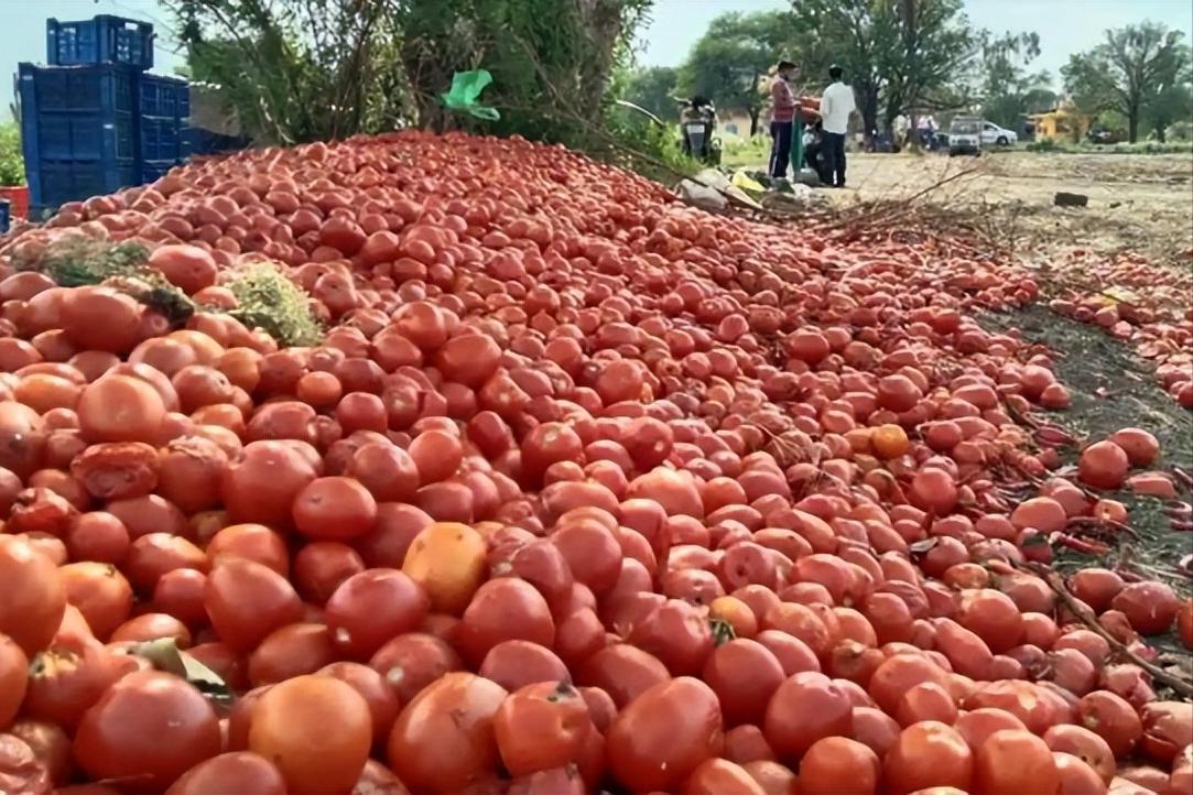 2.8万亿印度卢比变废纸！和印度做生意，俄罗斯又被坑
